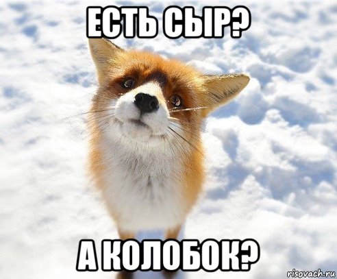 есть сыр? а колобок?
