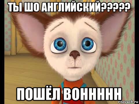 ты шо английский????? пошёл воннннн