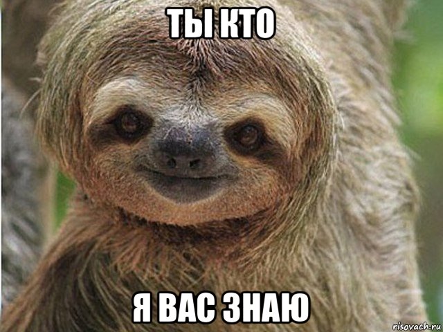ты кто я вас знаю