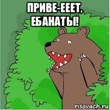 приве-ееет, ебанаты! , Мем Медведь