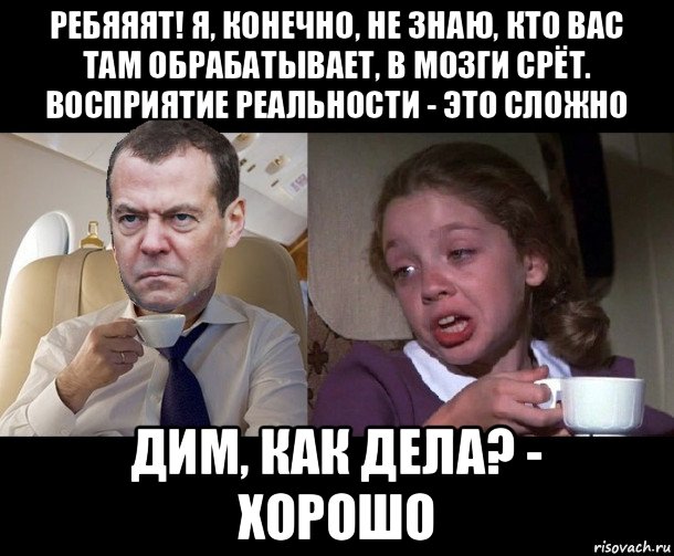 ребяяят! я, конечно, не знаю, кто вас там обрабатывает, в мозги срёт. восприятие реальности - это сложно дим, как дела? - хорошо