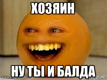 хозяин ну ты и балда, Мем Надоедливый апельсин