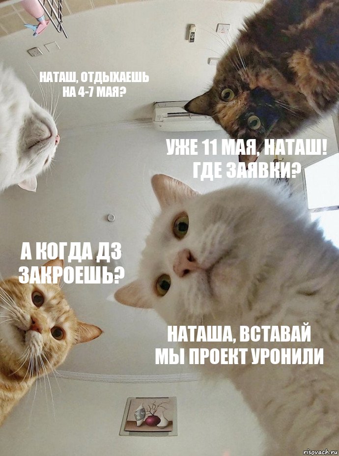 Наташ, отдыхаешь на 4-7 мая? Уже 11 мая, Наташ! Где Заявки? А когда ДЗ закроешь? Наташа, вставай мы проект уронили, Комикс  Наташа мы все уронили