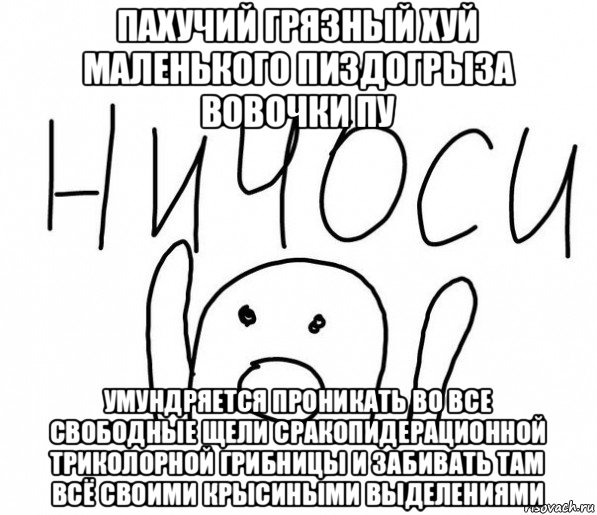 пахучий грязный хуй маленького пиздогрыза вовочки пу умундряется проникать во все свободные щели сракопидерационной триколорной грибницы и забивать там всё своими крысиными выделениями, Мем  Ничоси