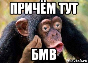 причём тут бмв