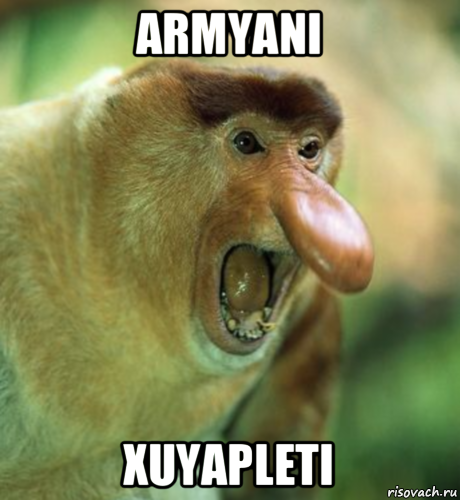 armyani xuyapleti