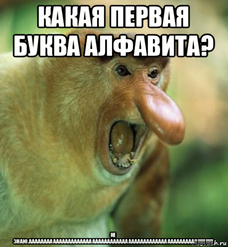 какая первая буква алфавита? не знаю.ааааааааааааааааааааааааааааааааааааааааааааааааааааааа!!!!!!!!!!!!