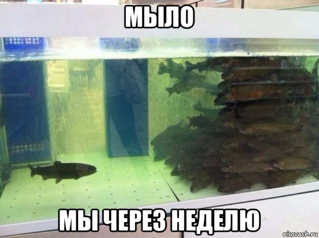 мыло мы через неделю, Мем Один против всех