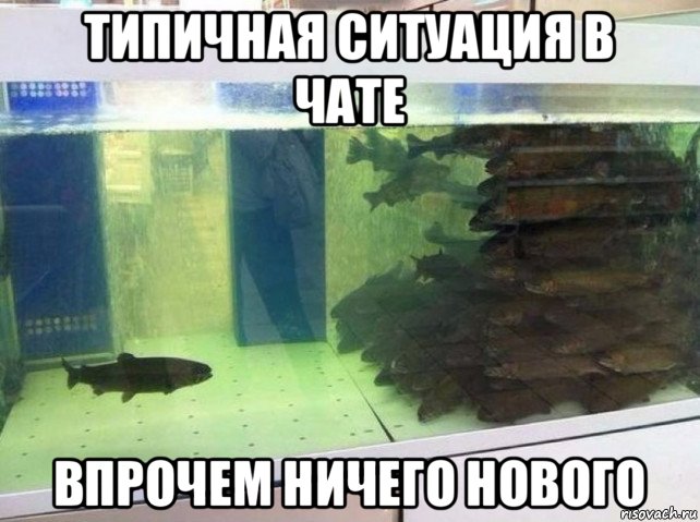 типичная ситуация в чате впрочем ничего нового, Мем Один против всех