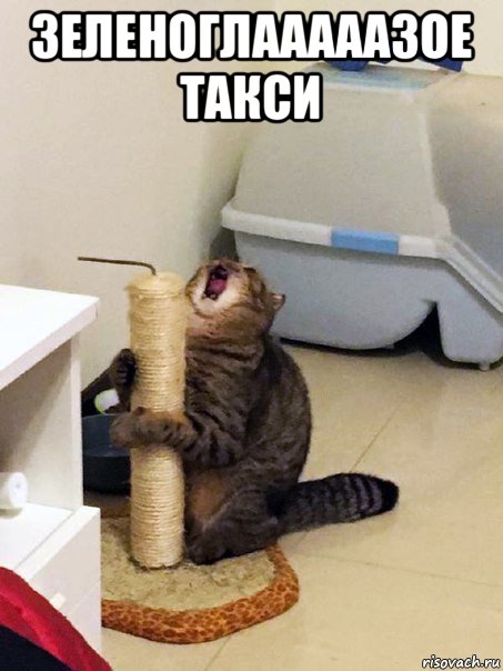 зеленоглааааазое такси 