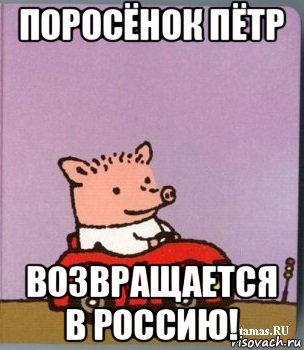 поросёнок пётр возвращается в россию!, Мем петр