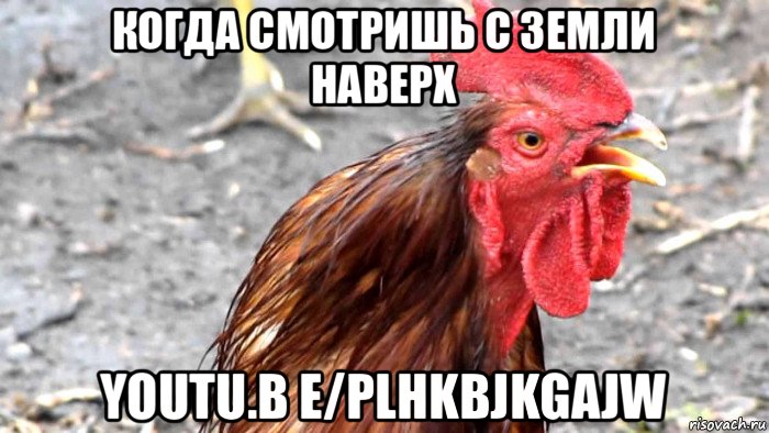 когда смотришь с земли наверх youtu.b e/plhkbjkgajw