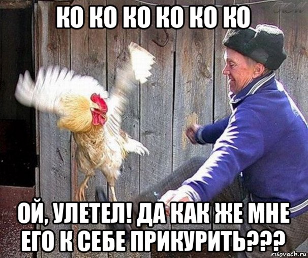ко ко ко ко ко ко ой, улетел! да как же мне его к себе прикурить???