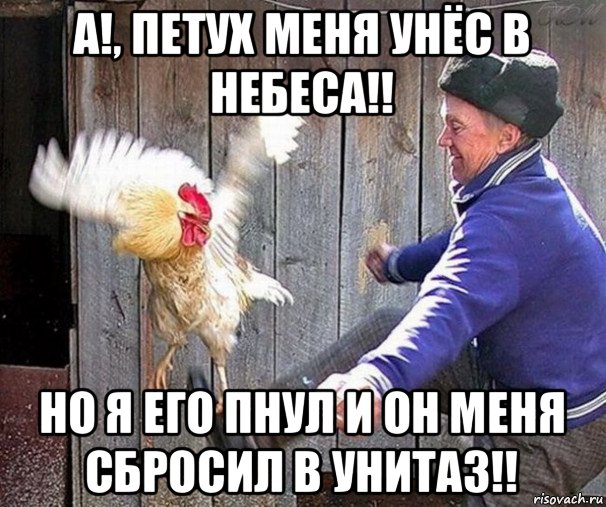а!, петух меня унёс в небеса!! но я его пнул и он меня сбросил в унитаз!!