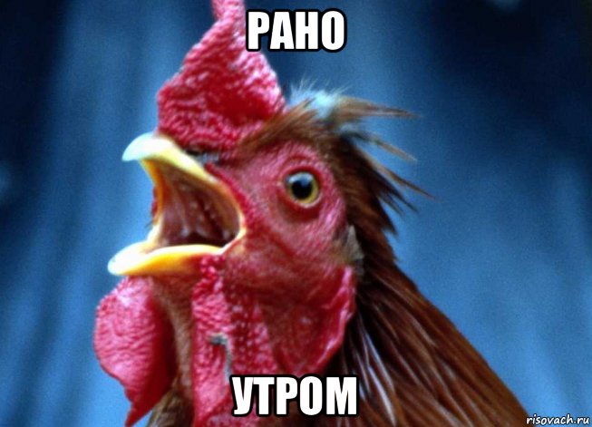рано утром