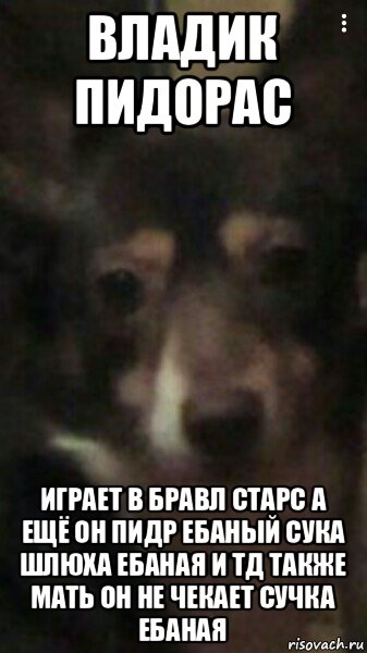 владик пидорас играет в бравл старс а ещё он пидр ебаный сука шлюха ебаная и тд также мать он не чекает сучка ебаная