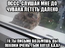 пссс, слушай мне до чувака лететь далеко го ты письмо возьмёшь, вы похожи очень, тыж хотел а,а,а?