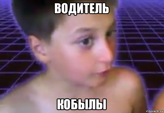 водитель кобылы