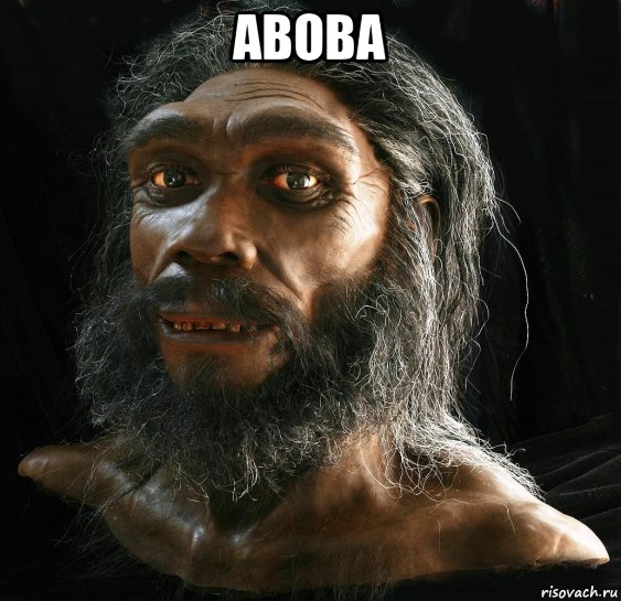 aboba 