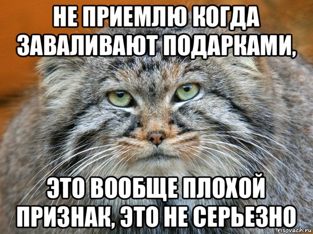 не приемлю когда заваливают подарками, это вообще плохой признак, это не серьезно