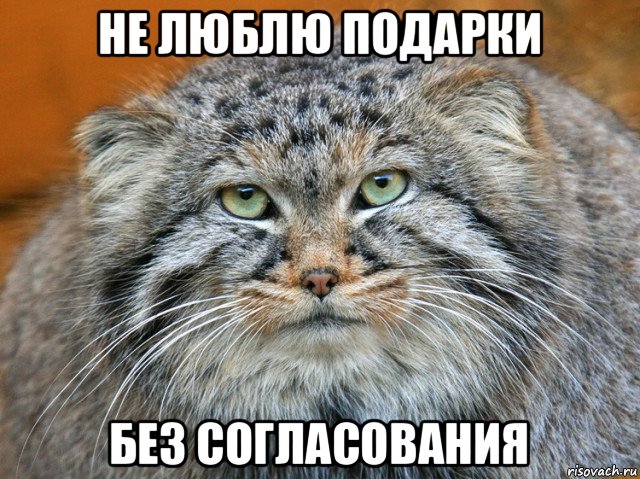 не люблю подарки без согласования