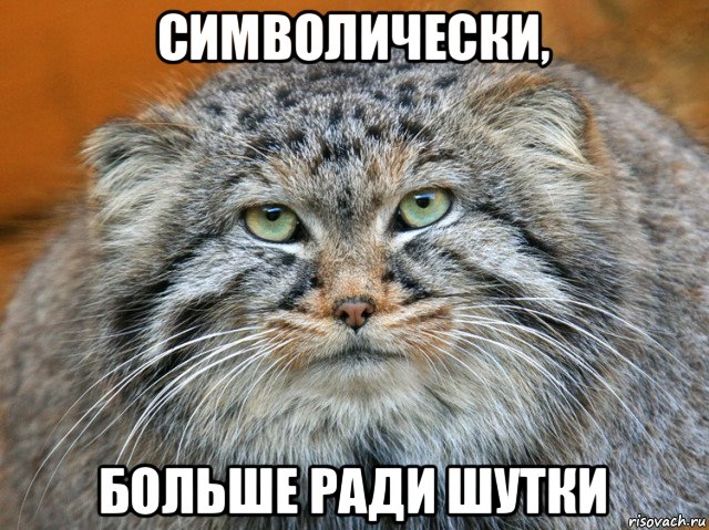 символически, больше ради шутки