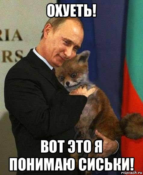 охуеть! вот это я понимаю сиськи!, Мем Путин и лиса