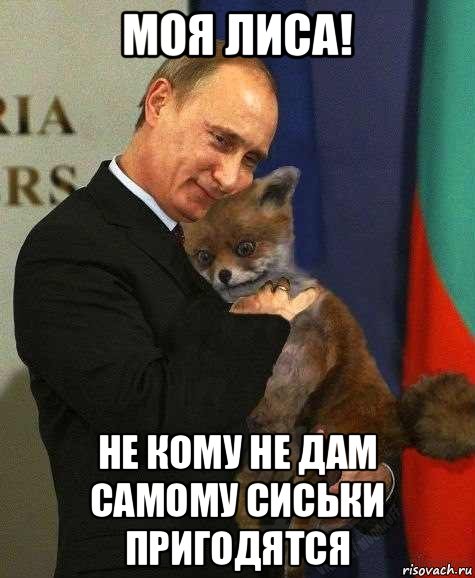 моя лиса! не кому не дам самому сиськи пригодятся, Мем Путин и лиса