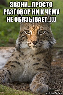 звони...просто разговор ни к чему не обязывает..))) , Мем Рысь