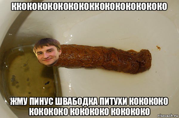 ккокококококококкококококококо жму пинус швабодка питухи кокококо кокококо кокококо кокококо, Мем Сашка какашка