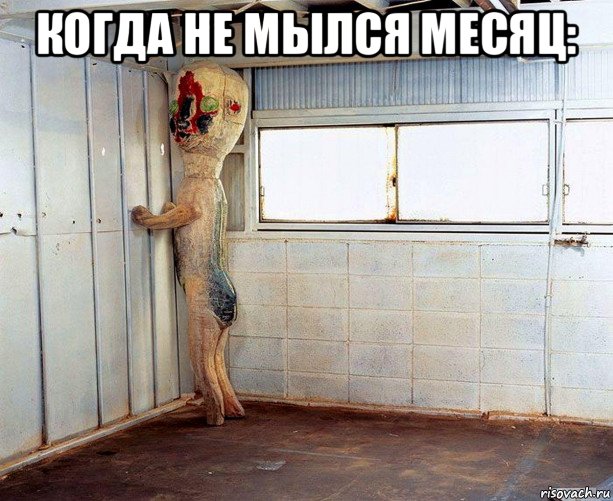 когда не мылся месяц: 