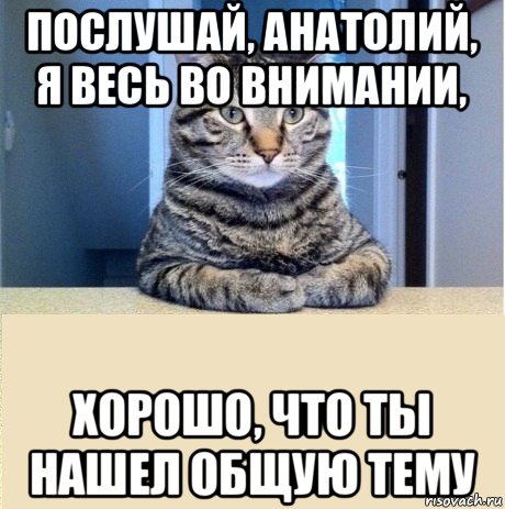 послушай, анатолий, я весь во внимании, хорошо, что ты нашел общую тему, Мем серьезный кот