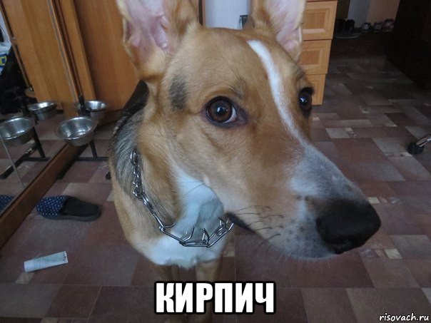  кирпич