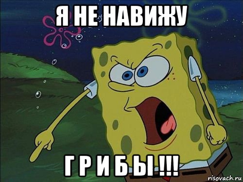 я не навижу г р и б ы !!!, Мем Спанч боб