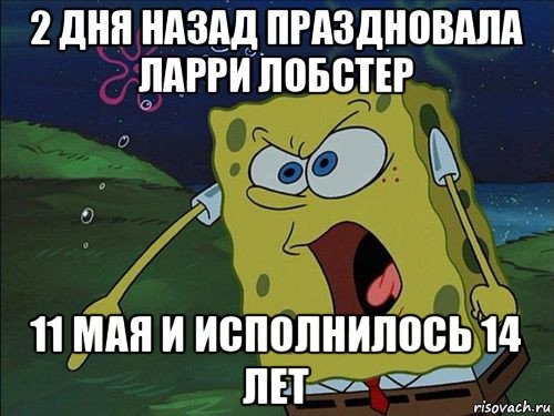 2 дня назад праздновала ларри лобстер 11 мая и исполнилось 14 лет, Мем Спанч боб