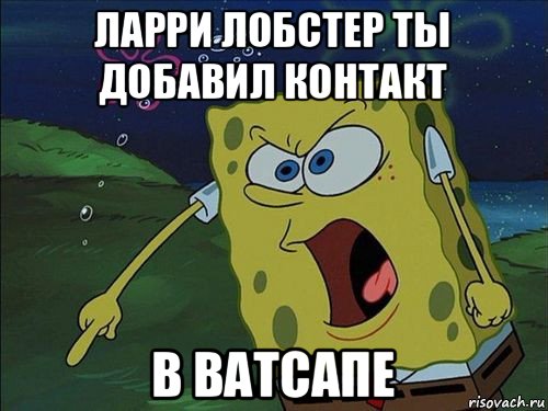 ларри лобстер ты добавил контакт в ватсапе, Мем Спанч боб