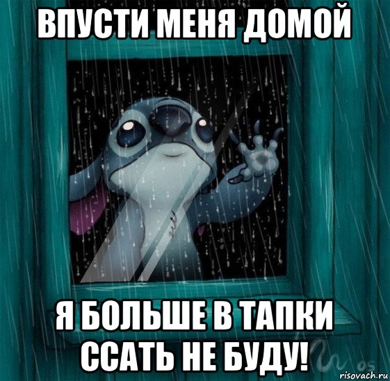впусти меня домой я больше в тапки ссать не буду!