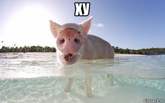 ху 