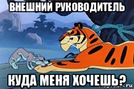 внешний руководитель куда меня хочешь?