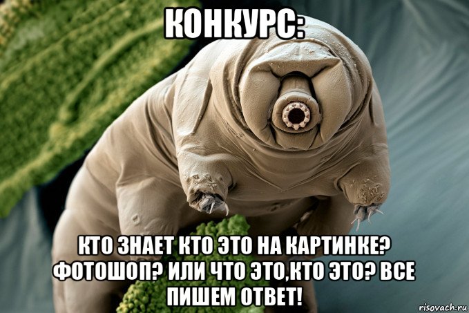 конкурс: кто знает кто это на картинке? фотошоп? или что это,кто это? все пишем ответ!