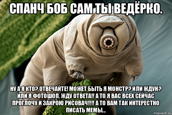 спанч боб сам ты ведёрко. ну а я кто? отвечайте! может быть я монстр? или ждун? или я фотошоп. жду ответа!! а то я вас всех сейчас проглочу и закрою рисовач!!!! а то вам так интерестно писать мемы...