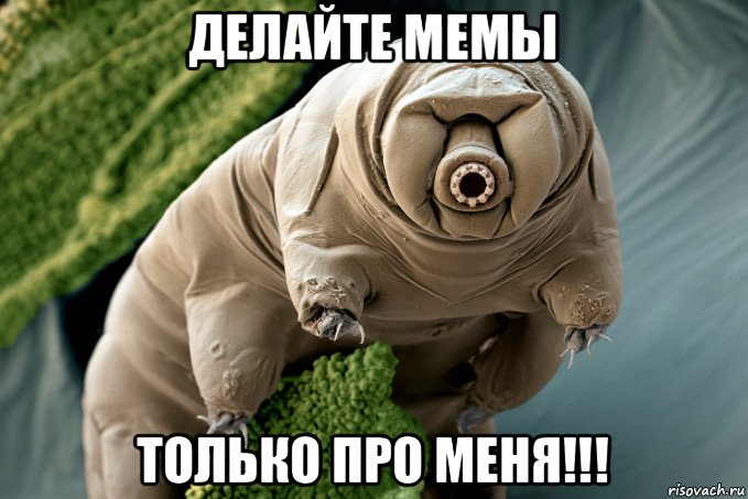 делайте мемы только про меня!!!