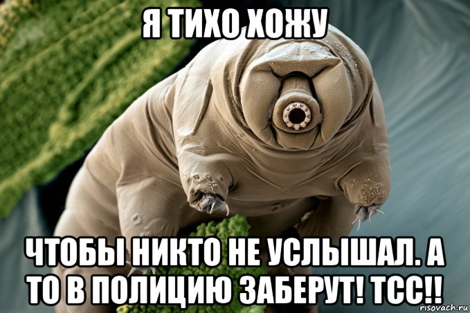 я тихо хожу чтобы никто не услышал. а то в полицию заберут! тсс!!