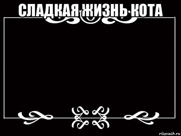 сладкая жизнь кота 