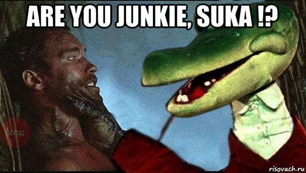 are you junkie, suka !? 