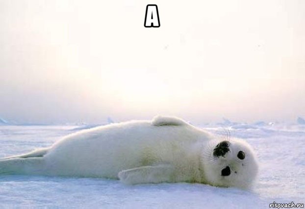 а 