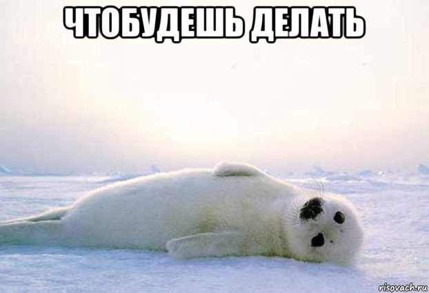 чтобудешь делать 