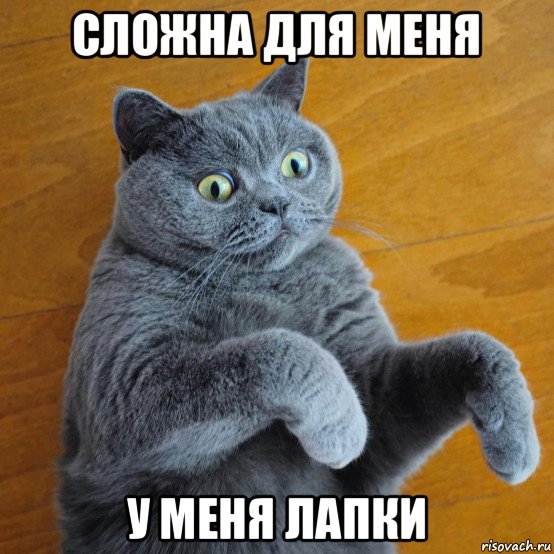 сложна для меня у меня лапки