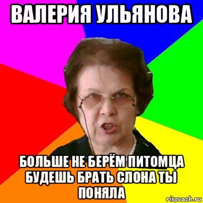 валерия ульянова больше не берём питомца будешь брать слона ты поняла, Мем Типичная училка