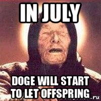in july doge will start to let offspring, Мем Ванга (цвет)